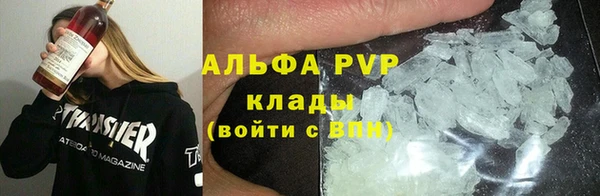стафф Козельск