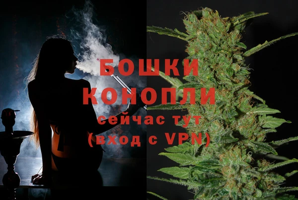 стафф Козельск