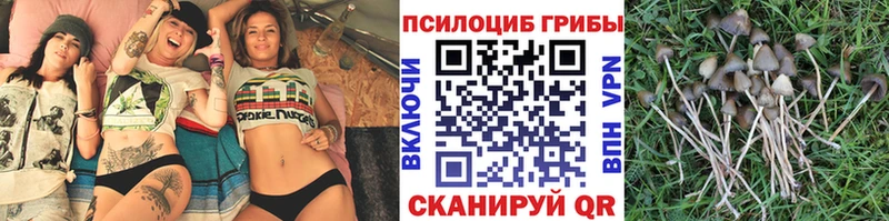 Галлюциногенные грибы мухоморы  Купить где  Кирово-Чепецк 